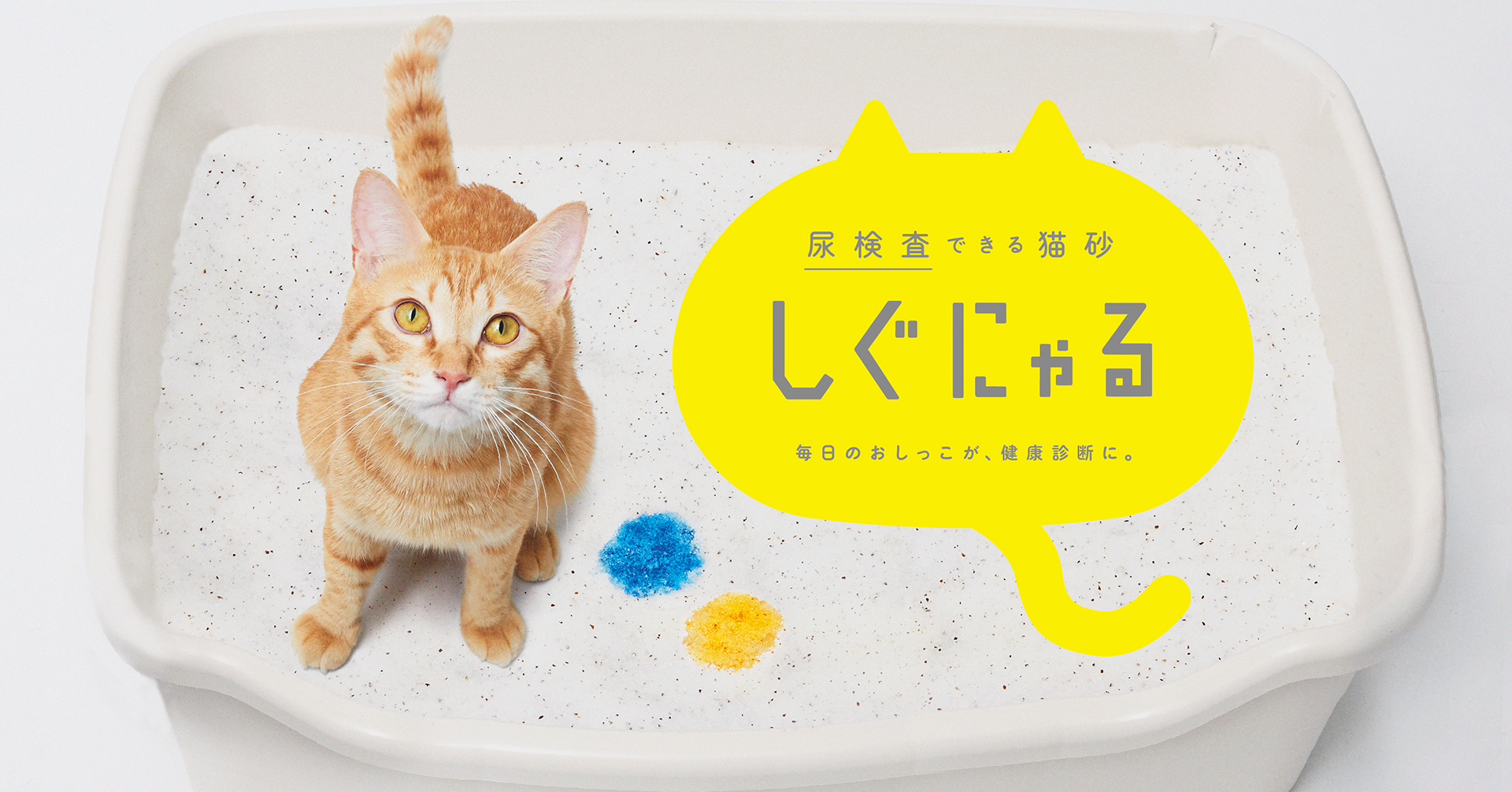 毎日のおしっこが、愛猫の健康管理に。尿の成分に応じて色が変化する、尿検査※1ができる猫砂「しぐにゃる」3月12日（金）より一般販売開始