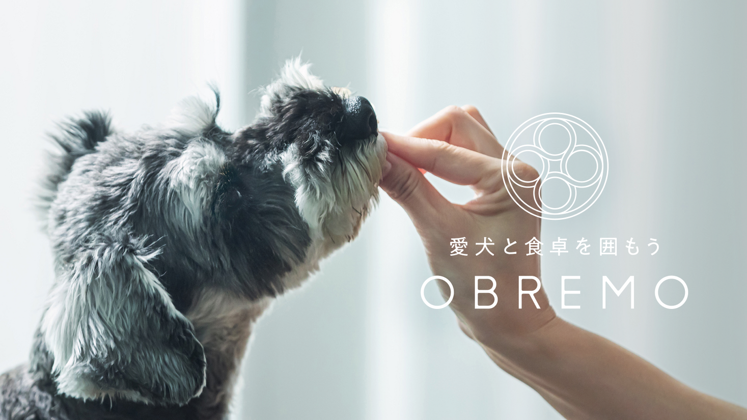 ドッグフードブランド「Obremo（オブレモ）」をブランドリニューアル！「OBREMO（オブレモ）」に生まれ変わり、高品質の国産ドッグフードで安心感をお届け